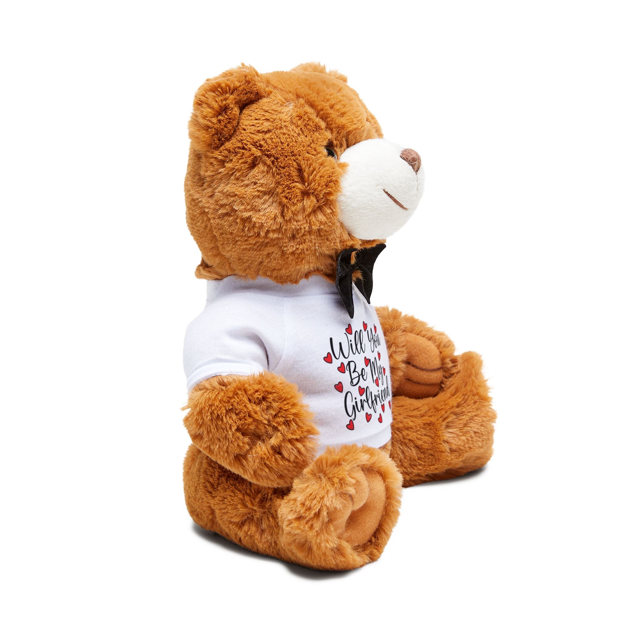 « Will you be my girlfriend? » Teddy Bear