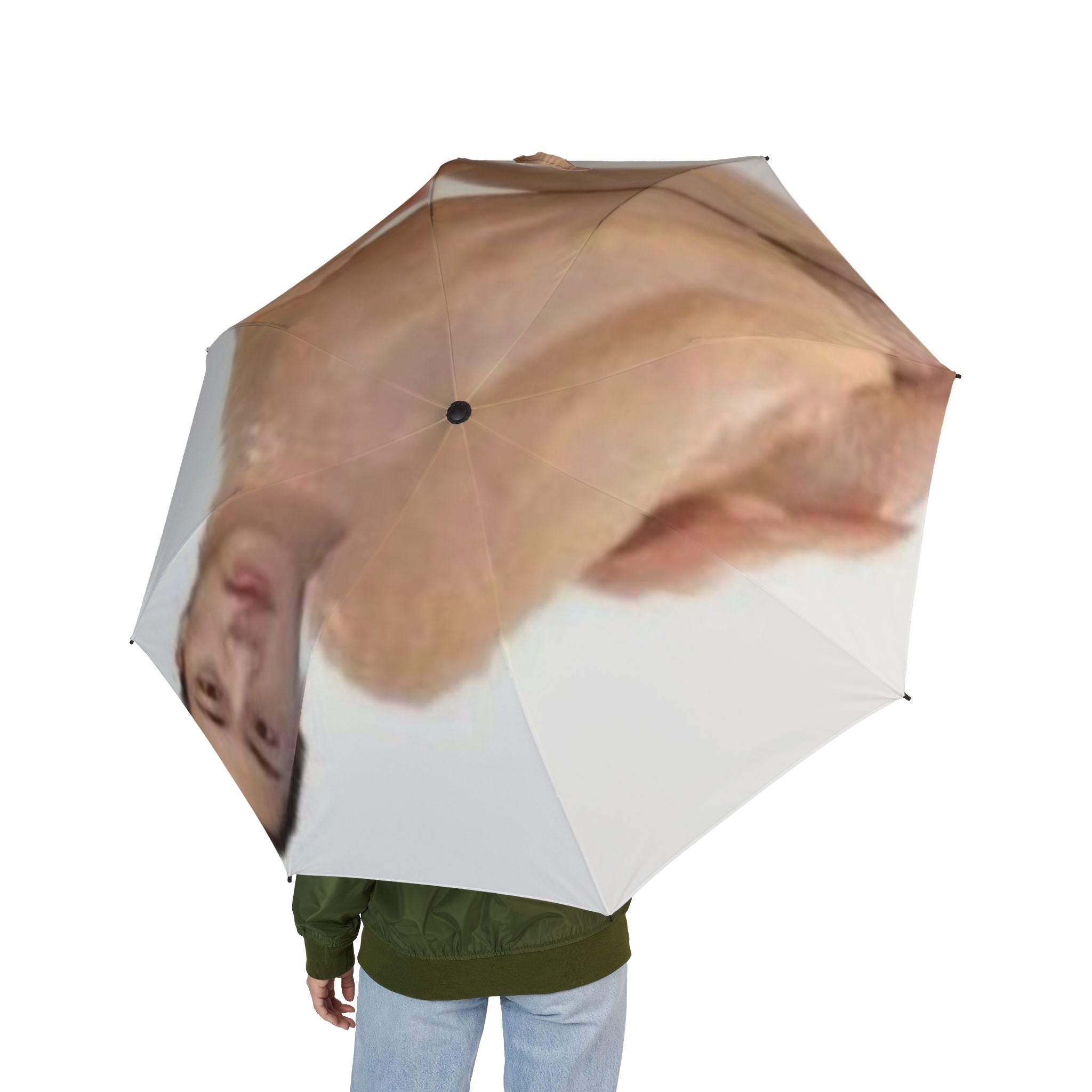 BTS Jin Umbrella