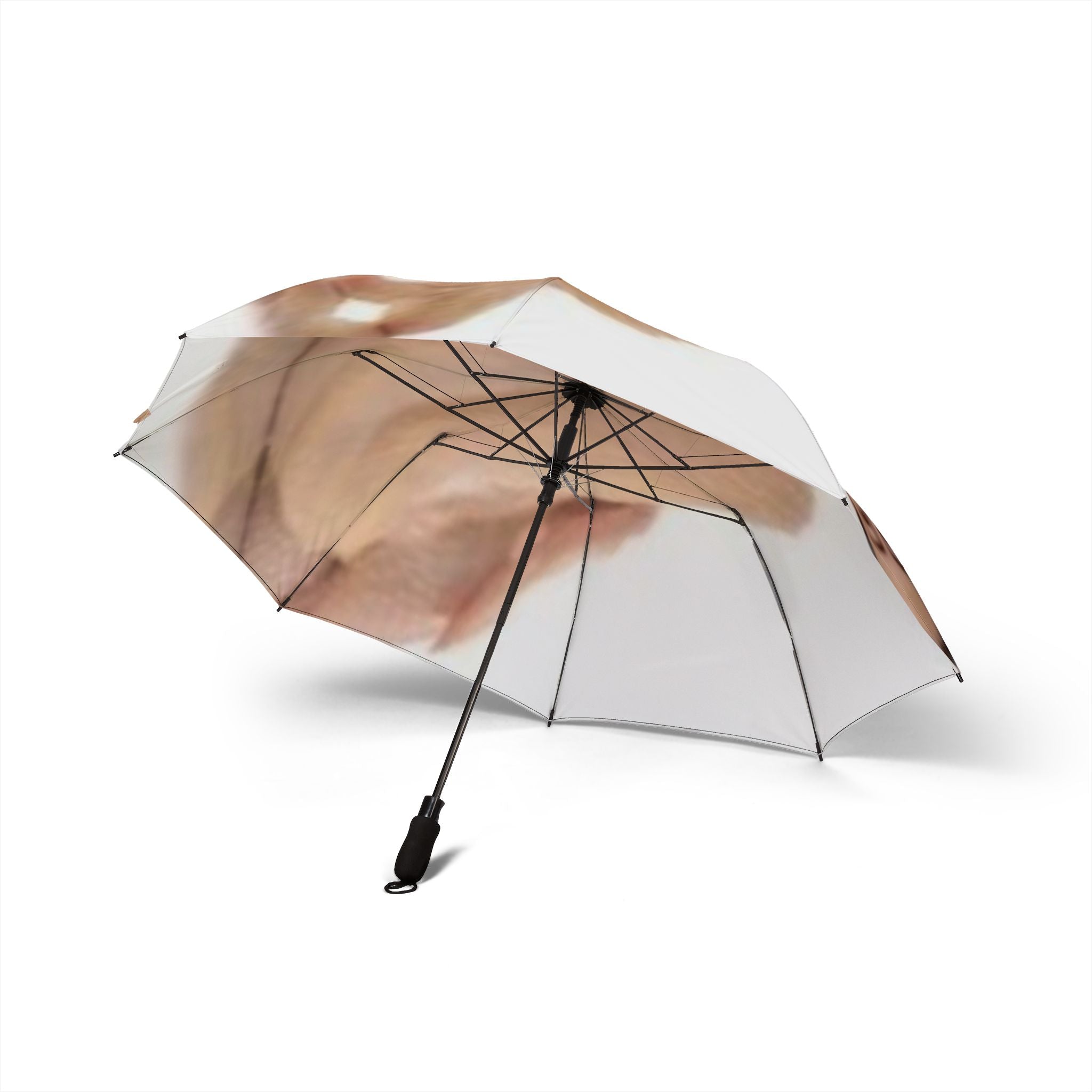 BTS Jin Umbrella