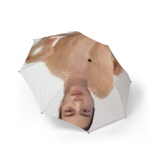 BTS Jin Umbrella